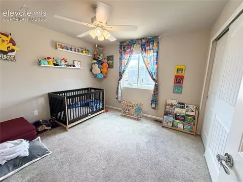 Bedroom - 10710 Rolling Peaks Dr, Peyton, CO 80831 photo 4 of 5
