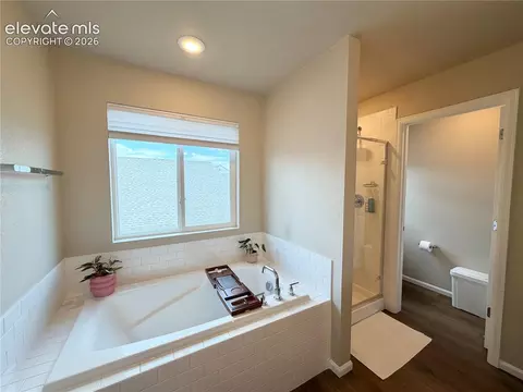 Bath - 10710 Rolling Peaks Dr, Peyton, CO 80831 photo 2 of 5