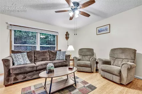 Living - 381 Raspberry Ln, Monument, CO 80132 photo 3 of 3