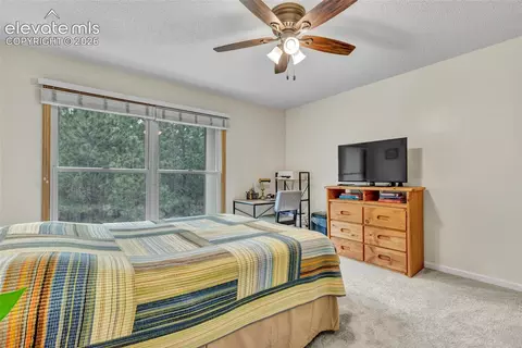 Bedroom - 381 Raspberry Ln, Monument, CO 80132 photo 1 of 8
