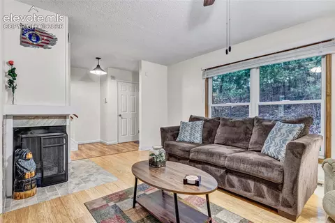 Living - 381 Raspberry Ln, Monument, CO 80132 photo 2 of 3