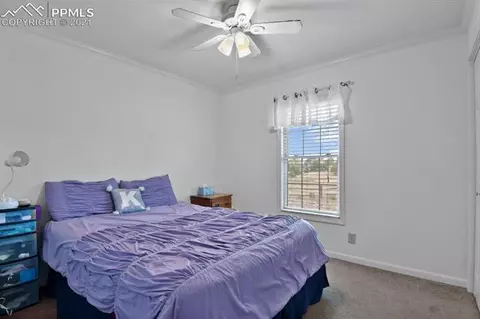 588 Trailhead St, Monument, CO 80132 photo 17