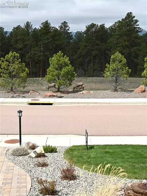 878 Tree Bark Ter, Monument, CO 80132 photo 46