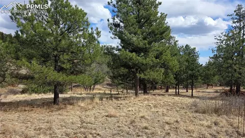 2002 Comanche Cir, Florissant, CO 80816