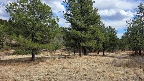 2002 Comanche Cir, Florissant, CO 80816