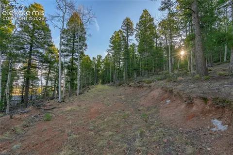 88 Malmsey Ln, Divide, CO 80814 photo 2