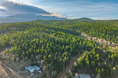 88 Malmsey Ln, Divide, CO 80814 photo 17