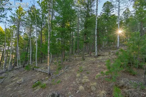 88 Malmsey Ln, Divide, CO 80814 photo 4