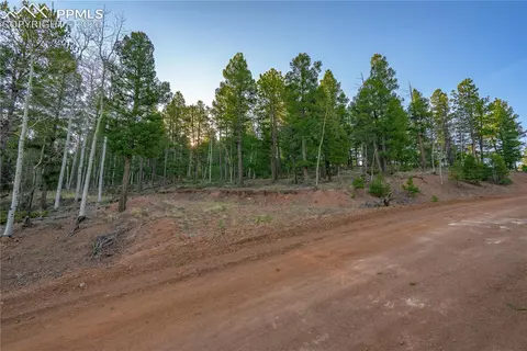 88 Malmsey Ln, Divide, CO 80814 photo 5