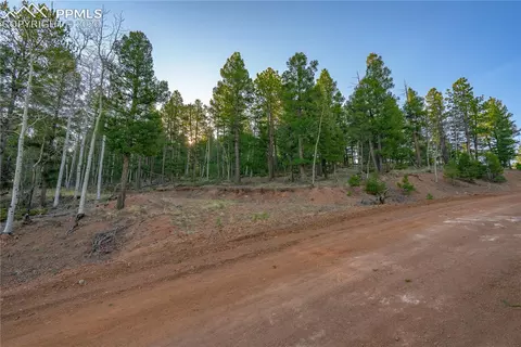 88 Malmsey Ln, Divide, CO 80814 photo 5