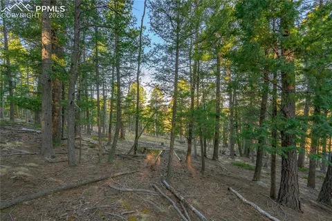 88 Malmsey Ln, Divide, CO 80814 photo 11