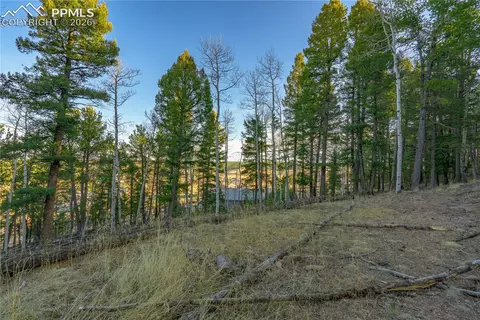 88 Malmsey Ln, Divide, CO 80814 photo 9