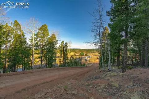 88 Malmsey Ln, Divide, CO 80814 photo 14
