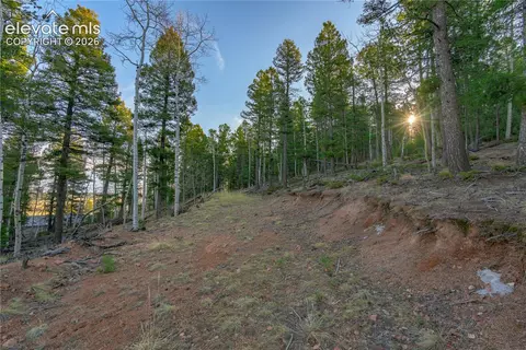 88 Malmsey Ln, Divide, CO 80814 photo 2