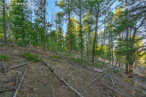 88 Malmsey Ln, Divide, CO 80814 photo 7
