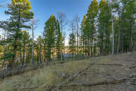 88 Malmsey Ln, Divide, CO 80814 photo 9