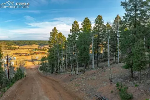 88 Malmsey Ln, Divide, CO 80814 photo 13