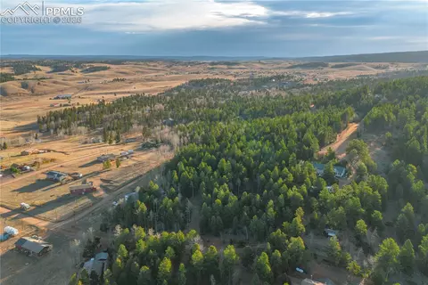 88 Malmsey Ln, Divide, CO 80814 photo 15