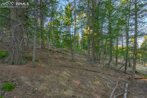88 Malmsey Ln, Divide, CO 80814 photo 8
