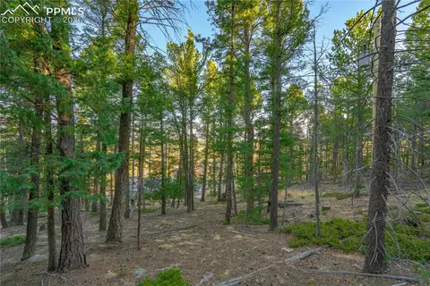 88 Malmsey Ln, Divide, CO 80814 photo 10