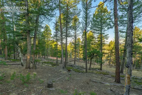 88 Malmsey Ln, Divide, CO 80814 photo 1