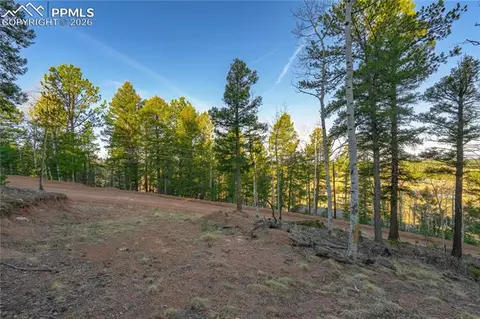 88 Malmsey Ln, Divide, CO 80814 photo 12