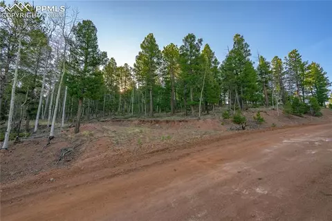88 Malmsey Ln, Divide, CO 80814 photo 5