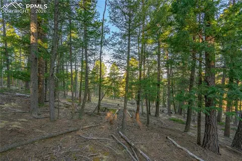 88 Malmsey Ln, Divide, CO 80814 photo 11