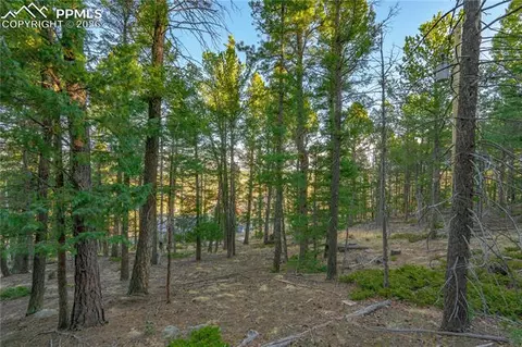 88 Malmsey Ln, Divide, CO 80814 photo 10