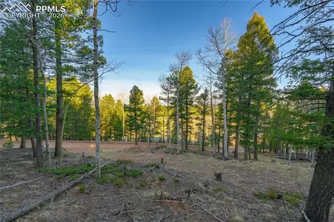 88 Malmsey Ln, Divide, CO 80814 photo 3