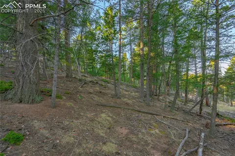 88 Malmsey Ln, Divide, CO 80814 photo 8