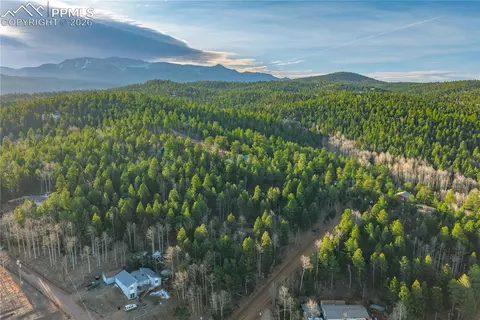 88 Malmsey Ln, Divide, CO 80814 photo 17