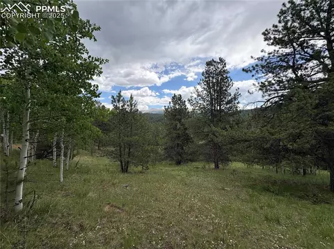 532 May Queen Dr, Cripple Creek, CO 80813
