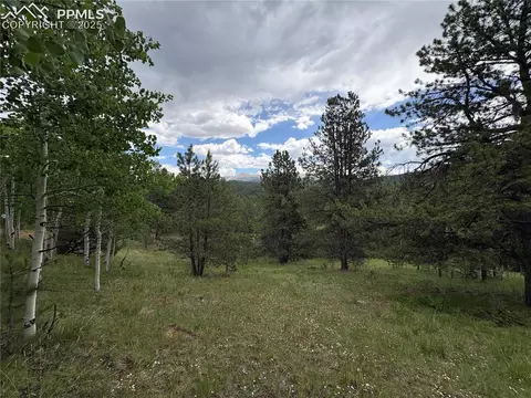 532 May Queen Dr, Cripple Creek, CO 80813