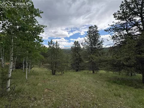 532 May Queen Dr, Cripple Creek, CO 80813