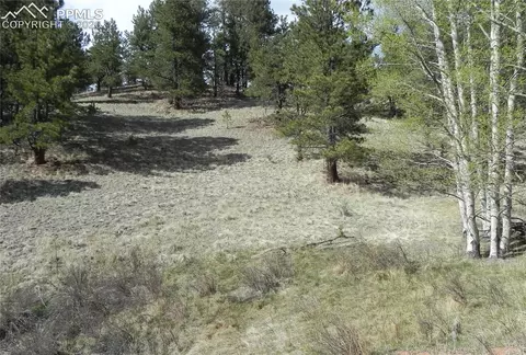 1699 Monarch Dr, Cripple Creek, CO 80813