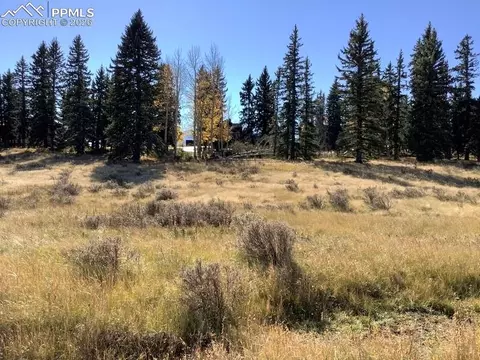 199 Joshua Rd, Divide, CO 80814