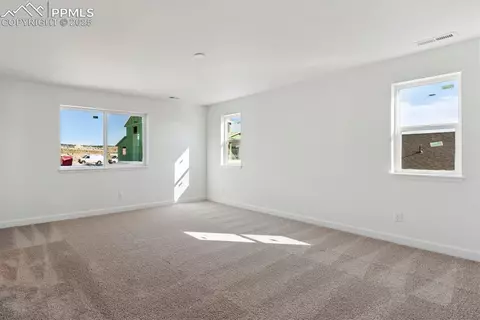 16897 Starfall Dr, Monument, CO 80132 photo 17