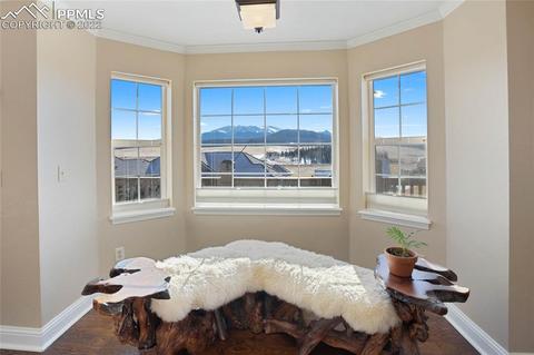 105 Matthew Rd, Divide, CO 80814 photo 18