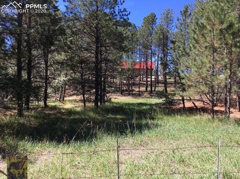 11625 Brinkerhoff Rd, Elbert, CO 80106 photo 2