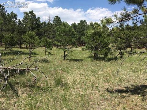 11625 Brinkerhoff Rd, Elbert, CO 80106 photo 18