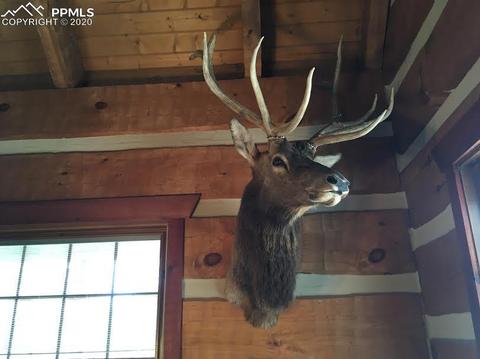 11625 Brinkerhoff Rd, Elbert, CO 80106 photo 13