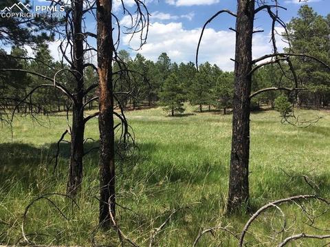 11625 Brinkerhoff Rd, Elbert, CO 80106 photo 20