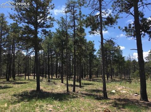 11625 Brinkerhoff Rd, Elbert, CO 80106 photo 9