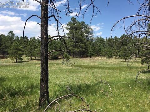 11625 Brinkerhoff Rd, Elbert, CO 80106 photo 19
