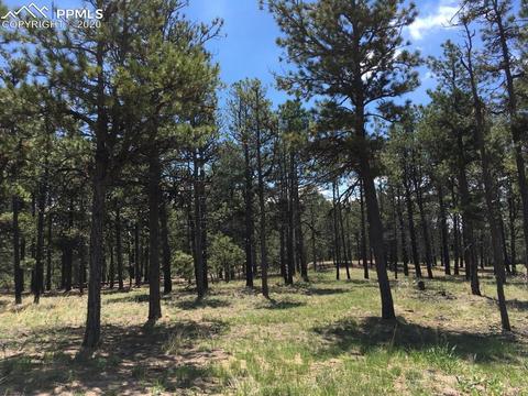 11625 Brinkerhoff Rd, Elbert, CO 80106 photo 8