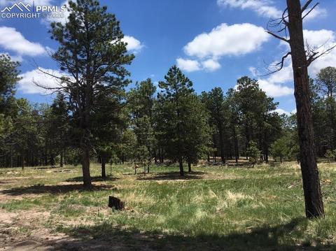 11625 Brinkerhoff Rd, Elbert, CO 80106 photo 10