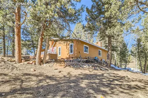 46 Barr Lake Cir, Divide, CO 80814