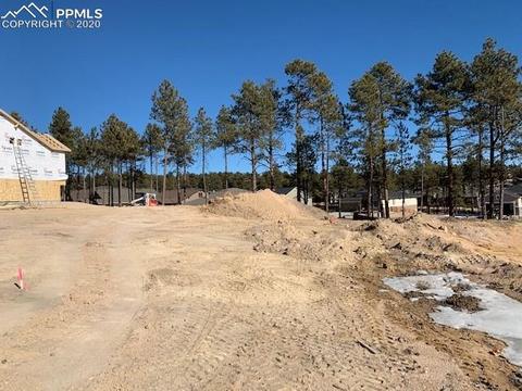 16429 Dancing Bear Ln, Monument, CO 80132 photo 26