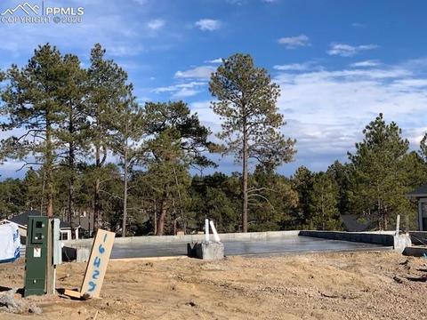 16429 Dancing Bear Ln, Monument, CO 80132 photo 28